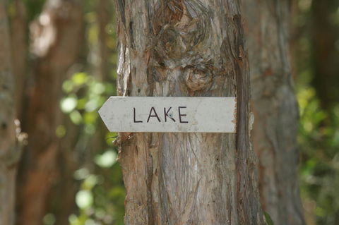 Lake Weyba Noosa Lodge & Kangaroos - Accommodation Port Macquarie 36