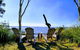 Lake Weyba Noosa Lodge & Kangaroos - thumb 44