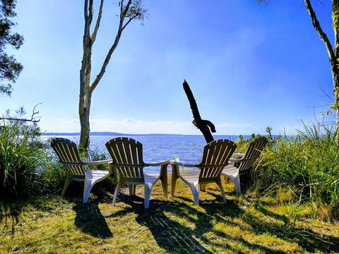 Lake Weyba Noosa Lodge & Kangaroos - Accommodation Port Macquarie 44