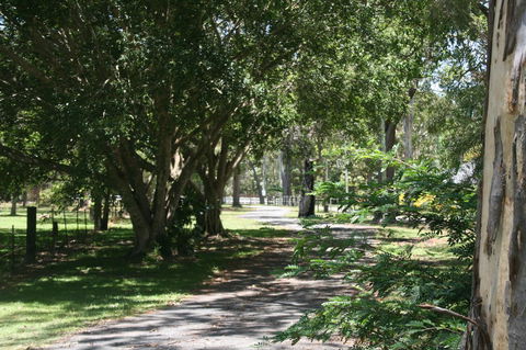 Lake Weyba Noosa Lodge & Kangaroos - Accommodation Port Macquarie 34