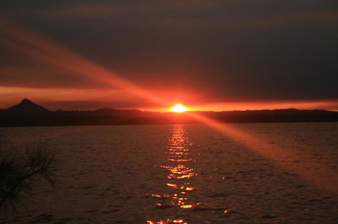 Lake Weyba Noosa Lodge & Kangaroos - Accommodation Port Macquarie 41