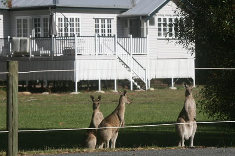 Lake Weyba Noosa Lodge & Kangaroos - Accommodation Port Macquarie 28
