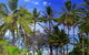 By The Sea Port Douglas - thumb 3