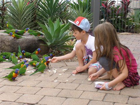 Island Leisure Resort - Accommodation Port Macquarie 25