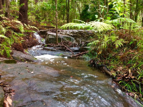 Noosa Hinterland Retreat - Accommodation Port Macquarie 12