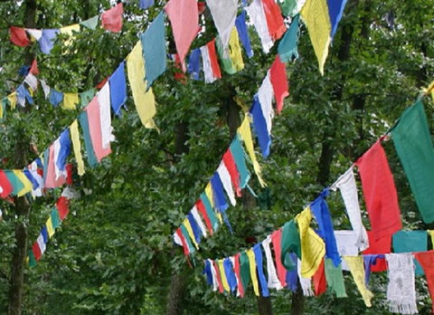 Noosa Hinterland Retreat - Accommodation Port Macquarie 10