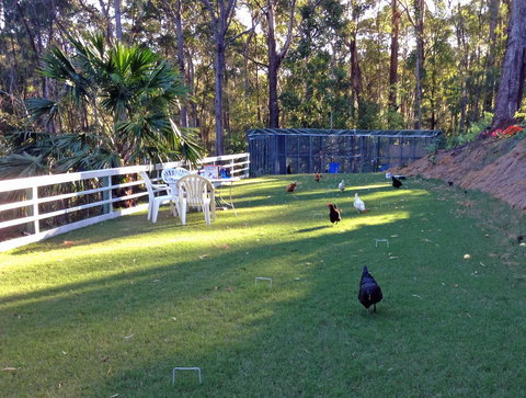 Noosa Hinterland Retreat - Accommodation Port Macquarie 11