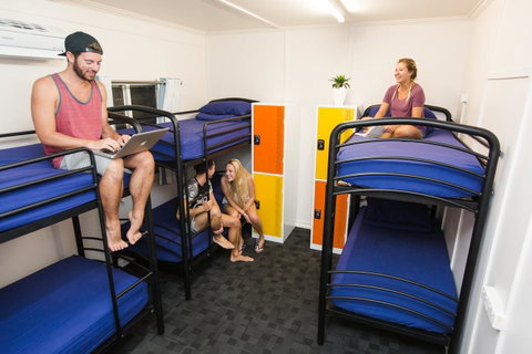 Mad Monkey Central - Accommodation Port Macquarie 21
