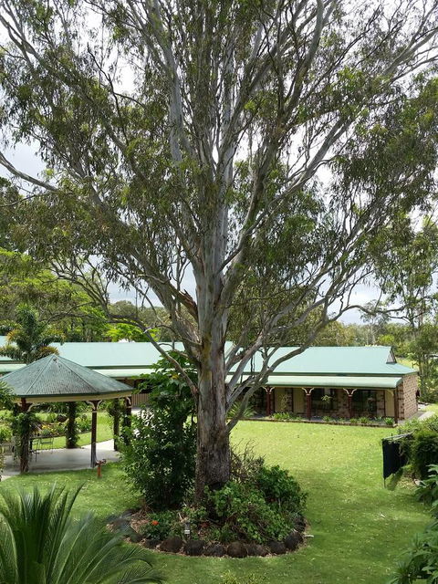 The Bearded Dragon Boutique Hotel - Accommodation Port Macquarie 32