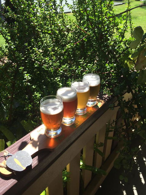The Bearded Dragon Boutique Hotel - Accommodation Port Macquarie 31