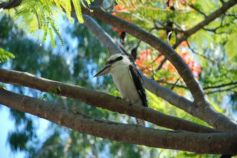 Sanctuary Palm Cove - Accommodation Port Macquarie 7