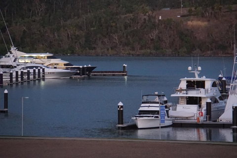 Airlie Seaview Apartments - Accommodation Port Macquarie 11