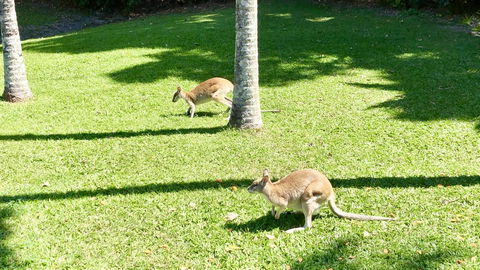 Argosy On The Beach - Accommodation Port Macquarie 15