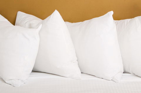 Emerald Central Hotel Official - Accommodation Port Macquarie 25