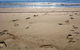 Kirra Surf Apartments - thumb 12