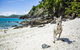 Daydream Island Resort - thumb 26