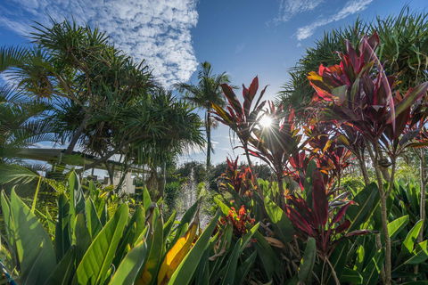 Currumbin Sands On The Beach - Accommodation Port Macquarie 9