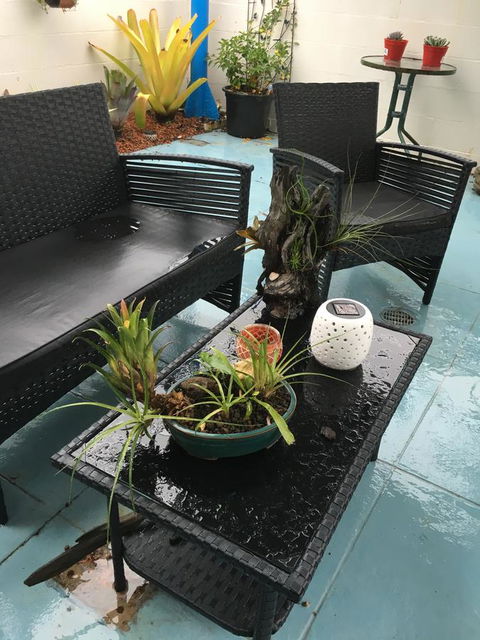 Black Marlin Motel - Accommodation Port Macquarie 3