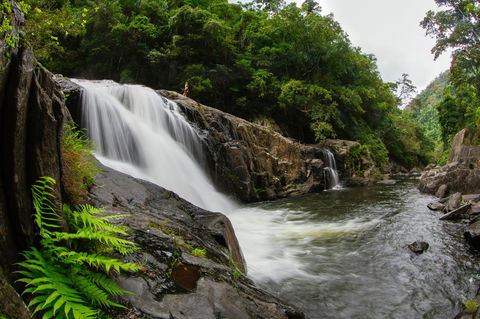 Coral Tree Inn - Accommodation Port Macquarie 40