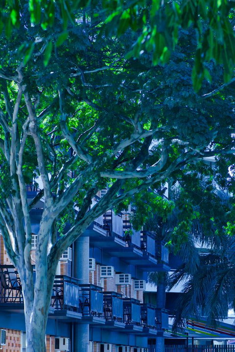 Soho Brisbane - Accommodation Port Macquarie 12