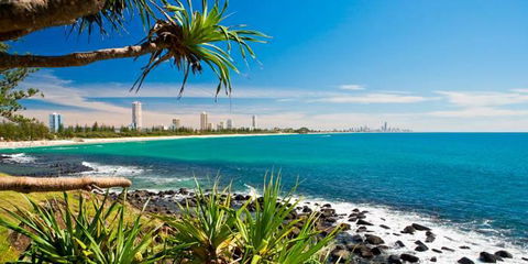 Private Guest Suite High On Currumbin Hill - Accommodation Port Macquarie 23