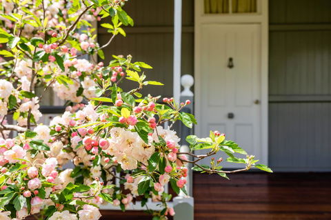 Apple Blossom Cottages - Accommodation Port Macquarie 2