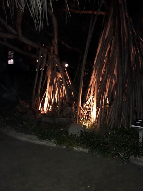 Pandanus Coolum Beach - Accommodation Port Macquarie 10