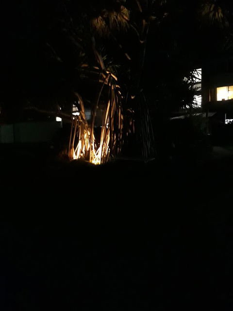 Pandanus Coolum Beach - Accommodation Port Macquarie 8