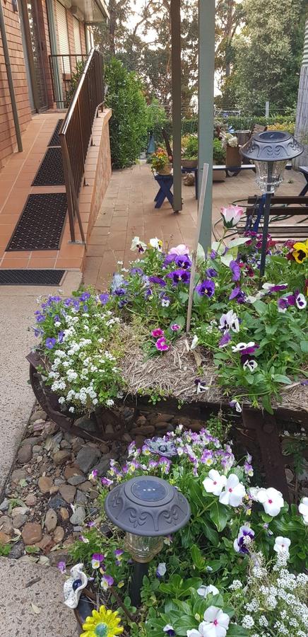 Manitzky Magic -B&B Home With Heart - Accommodation Port Macquarie 8