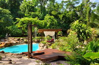 Book Bellenden Ker Accommodation Vacations Accommodation Port Macquarie Accommodation Port Macquarie