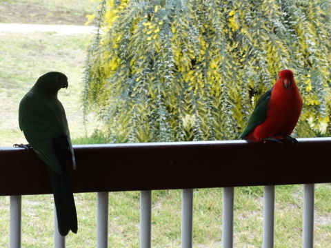 Loughmore House - Accommodation Port Macquarie 9