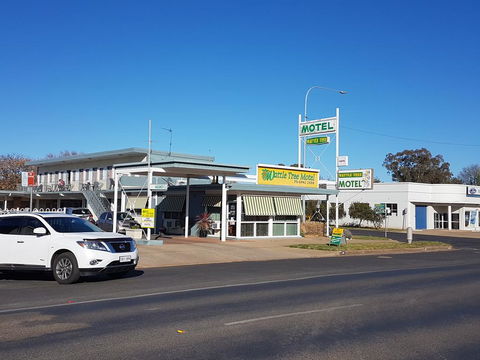 Wattle Tree Motel - Accommodation Port Macquarie 0