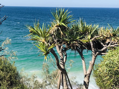 Waves And White Horses Seaview Retreat (adults Only) - Accommodation Port Macquarie 0