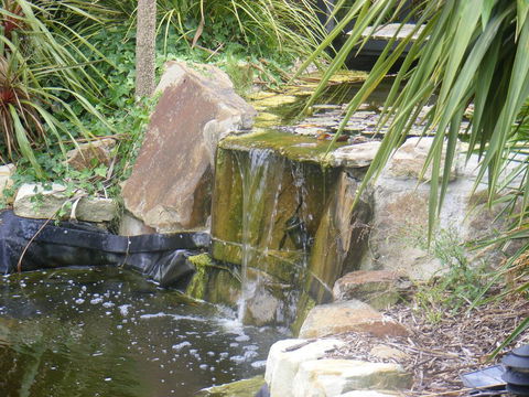 Weeroona Bed And Breakfast - Accommodation Port Macquarie 2