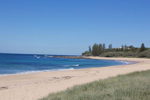 Wellington Parade 1/15a, Shelly Beach, Caloundra - Accommodation Port Macquarie 0
