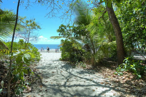 Whispering Palms - Accommodation Port Macquarie 1