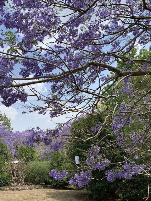 Wyndover Mountain Retreat - Accommodation Port Macquarie 1