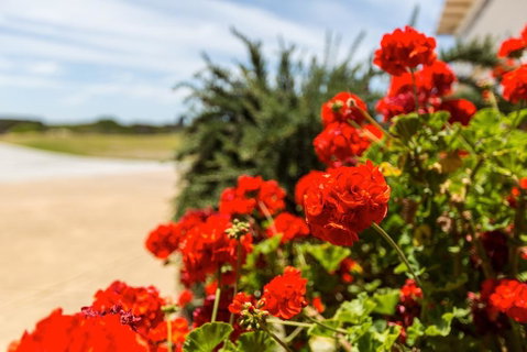 Wytonia Beachfront Accommodation - Accommodation Port Macquarie 3