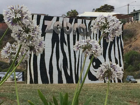 Zebras Guest House Geraldton - Accommodation Port Macquarie 0