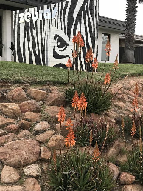 Zebras Guest House Geraldton - Accommodation Port Macquarie 1