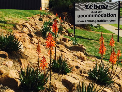 Zebras Guest House Geraldton - Accommodation Port Macquarie 2