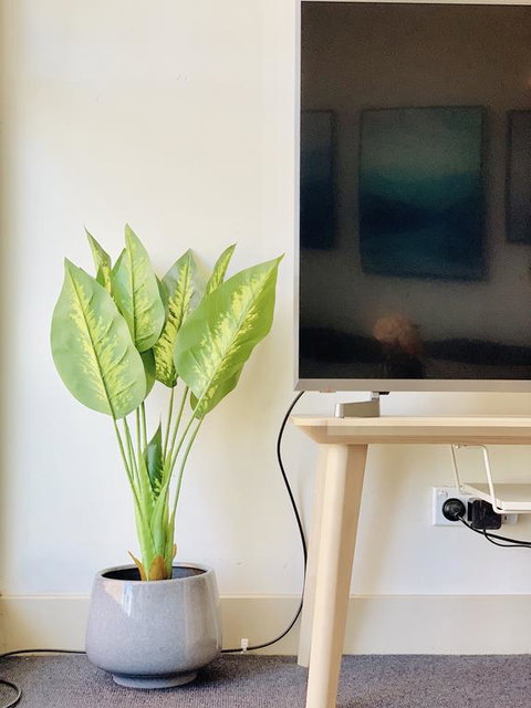 ZEN Homes On Collins - Accommodation Port Macquarie 3