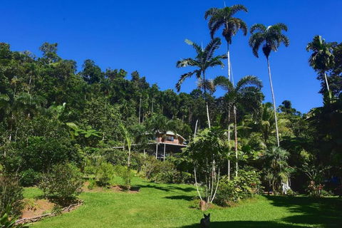 A Daintree Garden - Accommodation Port Macquarie 0