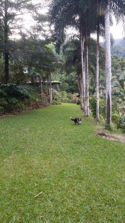 A Daintree Garden - Accommodation Port Macquarie 1