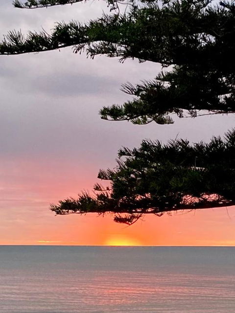 Absolute Beachfront Apartment, Amazing Sunsets - Accommodation Port Macquarie 2