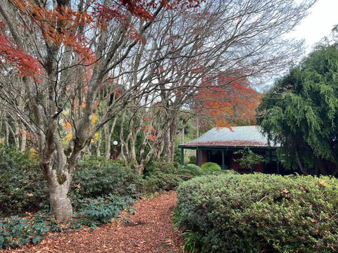 Amaroo Guesthouse - Accommodation Port Macquarie 1
