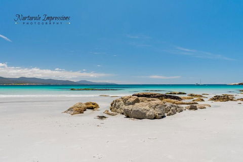 Anchors Away - Accommodation Port Macquarie 4