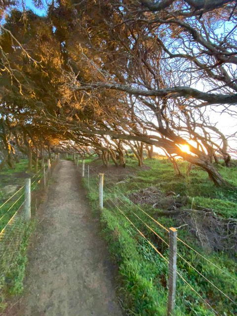 Anglesea Rivergums - Accommodation Port Macquarie 3