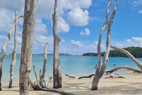 ARay At Cooee Bay - Apt B - Beach House Yeppoon - Accommodation Port Macquarie 1