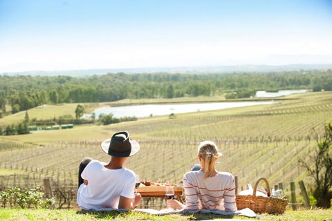 Audrey Wilkinson Vineyard - Accommodation Port Macquarie 0